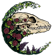 Logo Color Edited.png