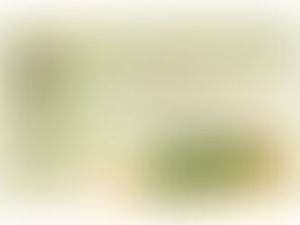 「端午美食與夏日養生攻略:減重者必看,吃粽不胖的秘訣!」