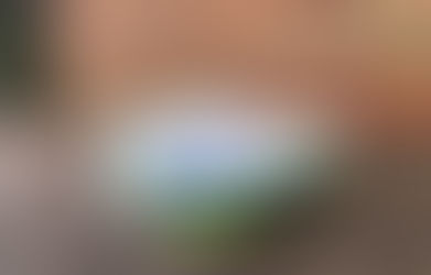 Mizuno Hyperwarp Elite Review