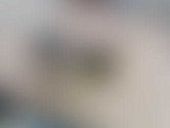 Stray cat maintenance and feeding