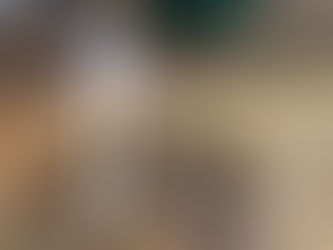 The cat got a present