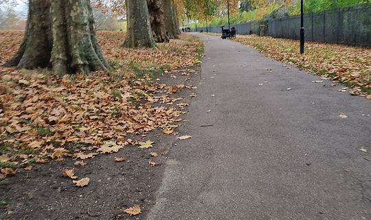 Park2.jpg