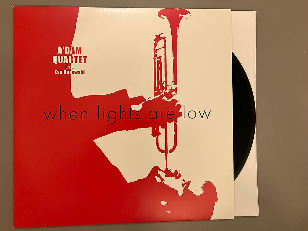 vinyl-cover-lights_big.jpg