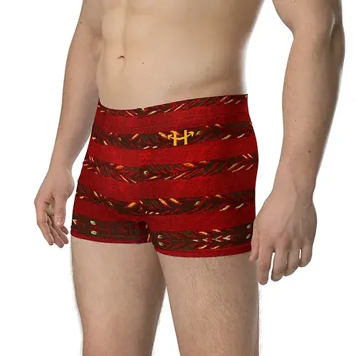Viking, Maroon | VIGOROUS MEN Boxer Briefs
