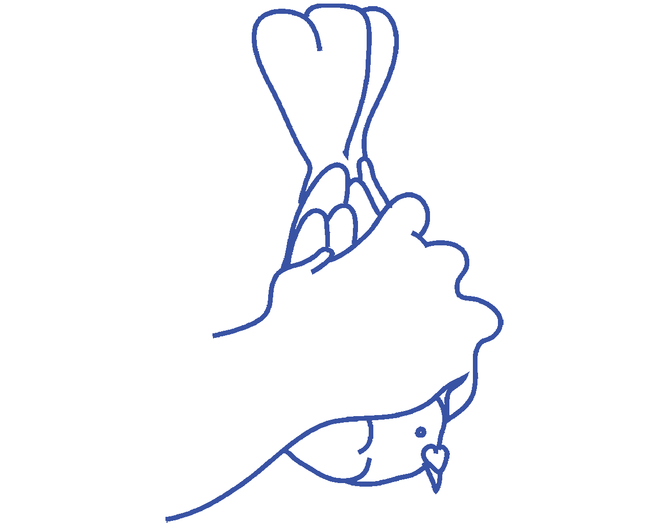 Polycelium Net