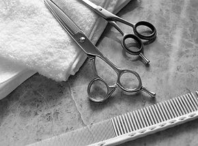 AdobeStock_426323146_Preview_edited.jpg