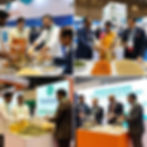 Leonardo_Phoenix_Depict_a_dynamic_exhibition_setting_in_India_0.jpg