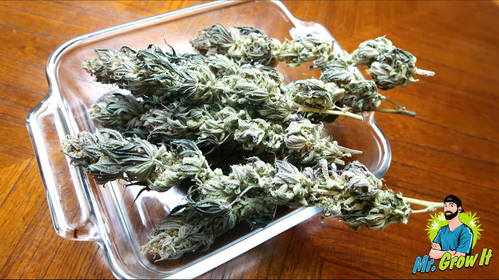 How To Trim Cannabis Plants!