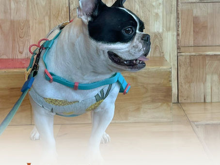 အမြဲတမ်းတက်ကြွပြီး ဆော့ကစားရတာကို နှစ်သက်တဲ့ 𝗟𝗼𝘂𝗶𝗲