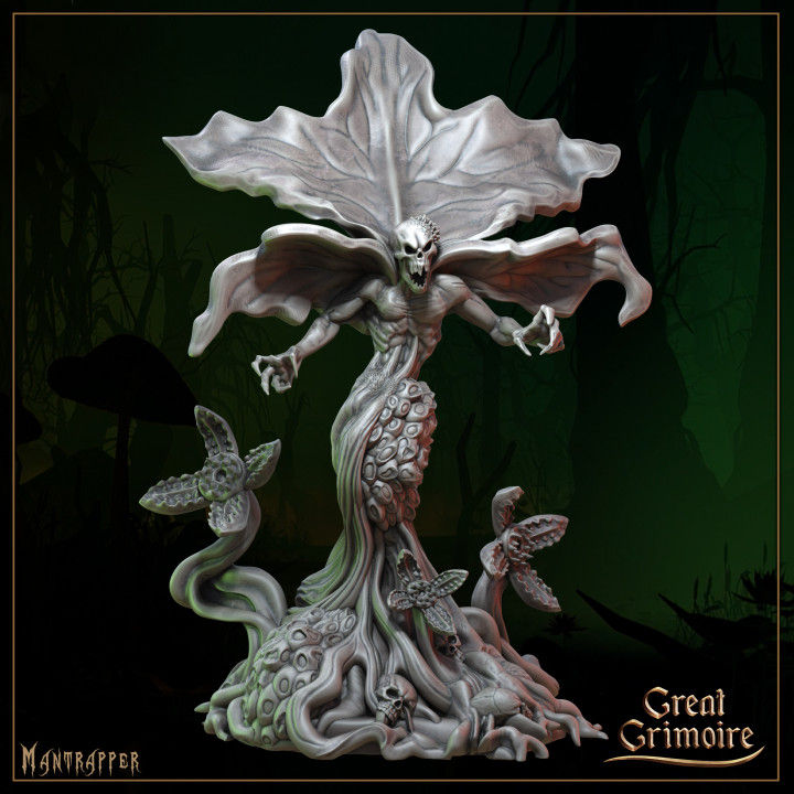 Thumbnail: Song of the Forest