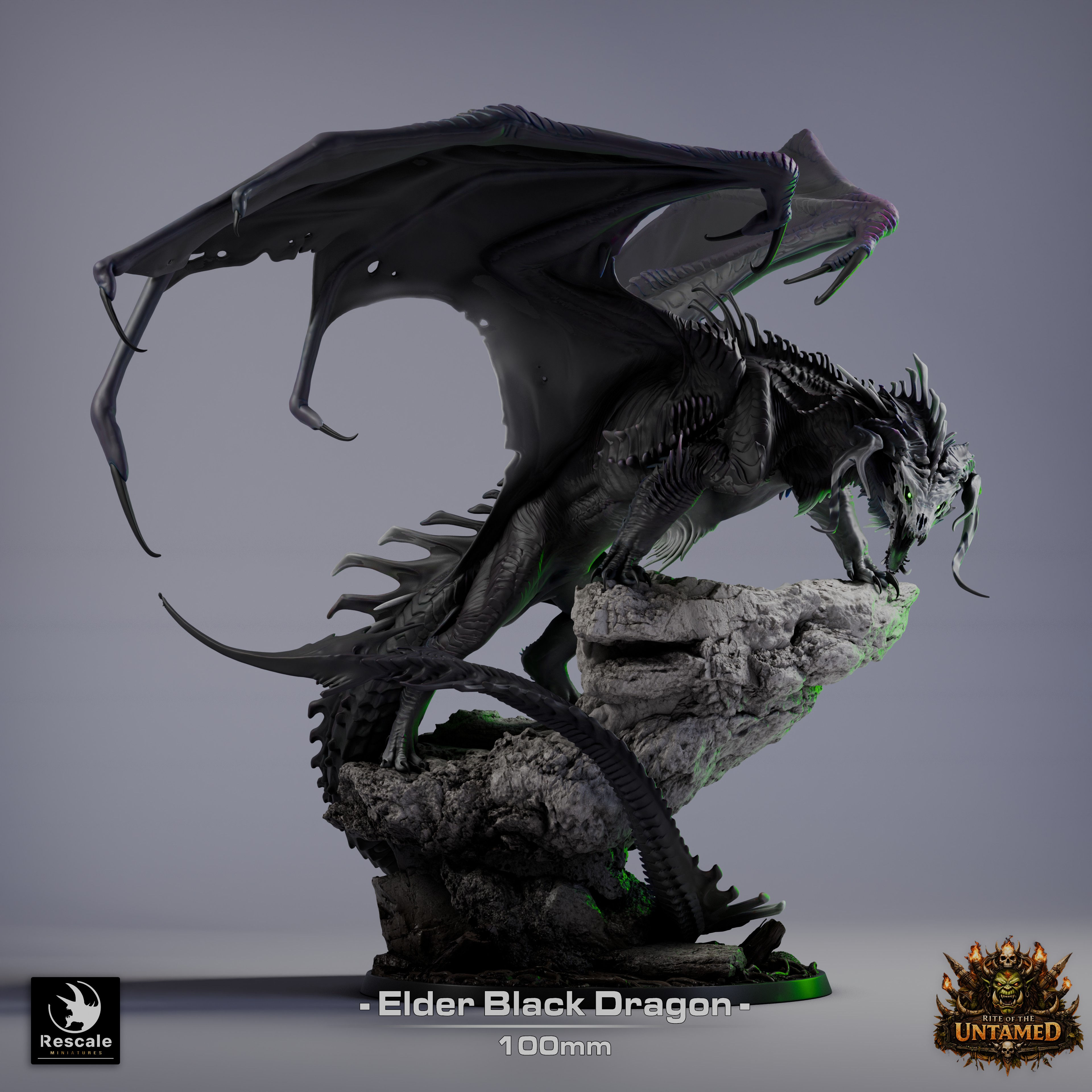 Black Dragon Elder