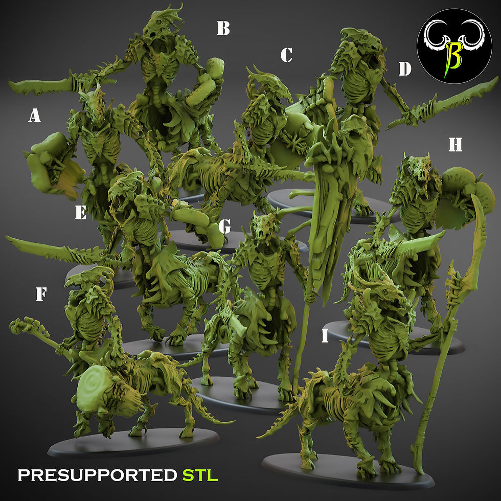 Marrow Knight Shield