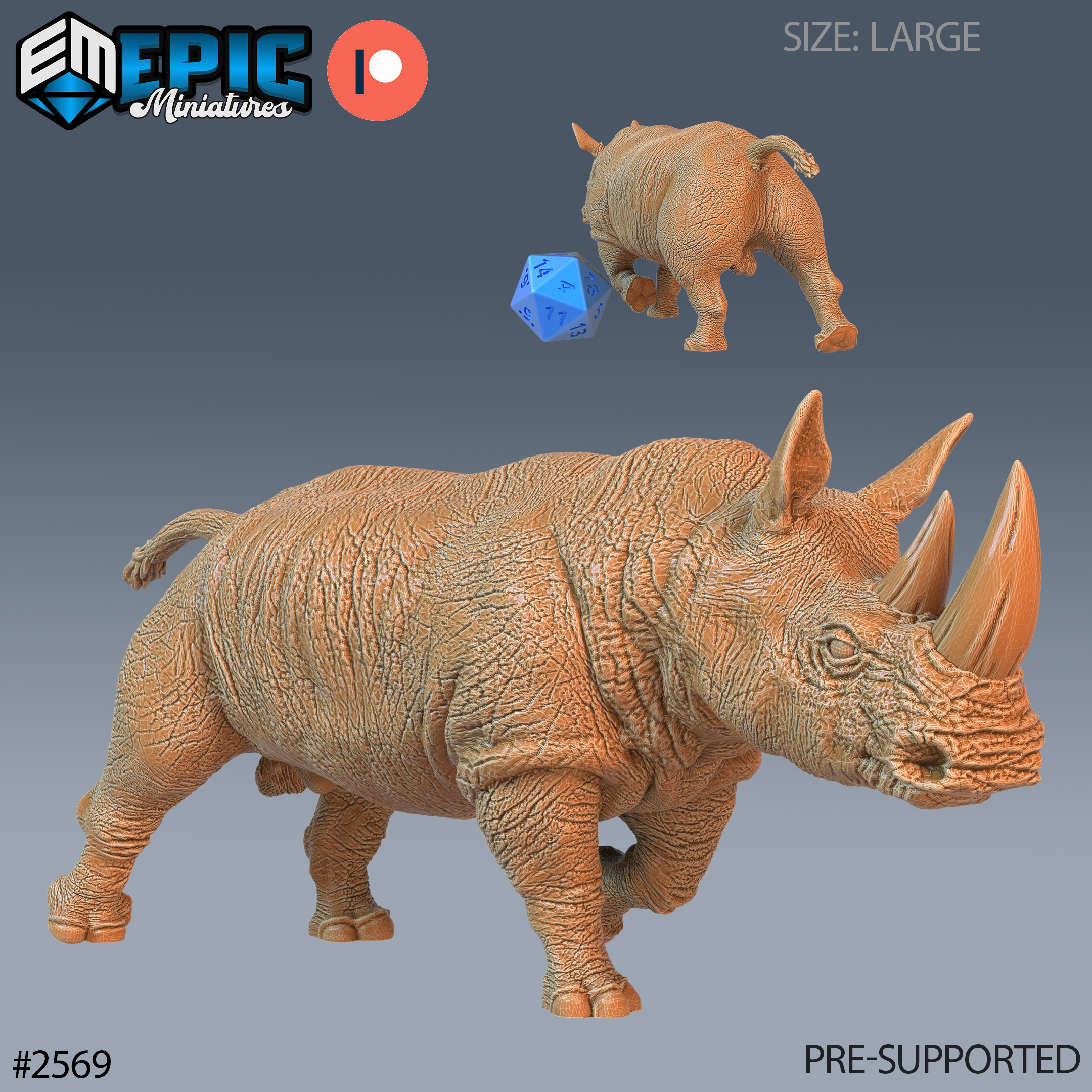 Rhinos