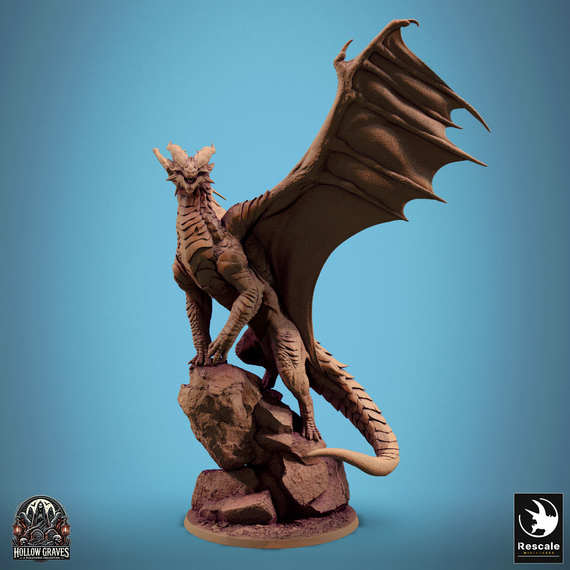 Copper Dragons