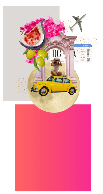 Octopus_Vamos Digittal (5).png