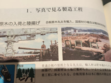 写真で見る合板の製造工程(合板百年史別冊より)