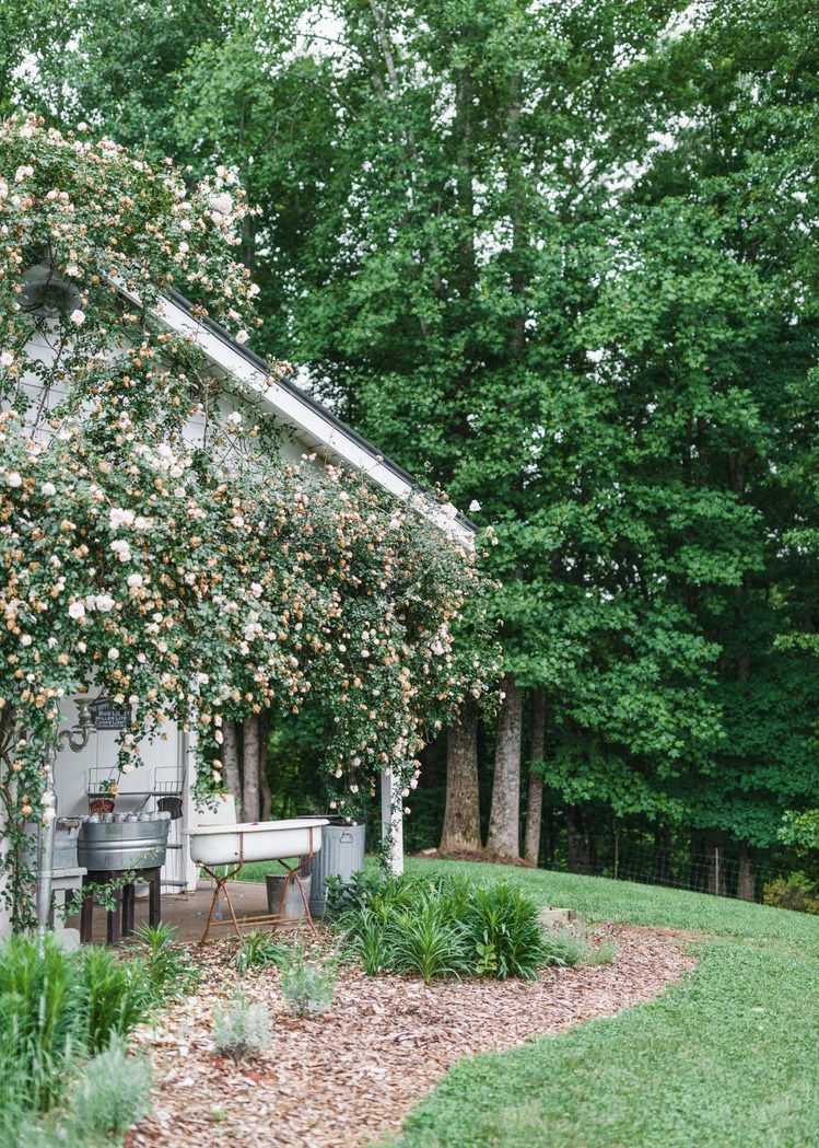 61031821_10157409112519443_1237164066892414976_n