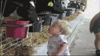 gifs-12-2