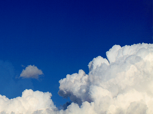 68239_900.gif