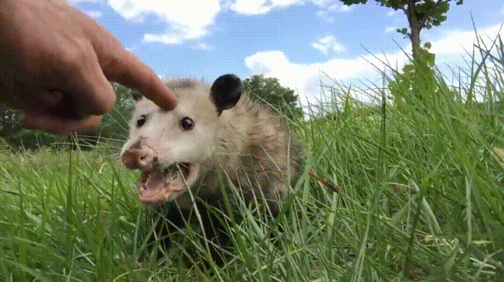 7UEg.gif
