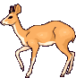 85883_c35a5.gif