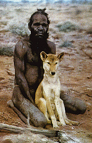 dingo-i-oborigen.gif