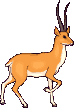 524.gif