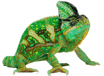 1499941378_127-hameleon.gif