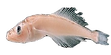 img28_edited_edited.png
