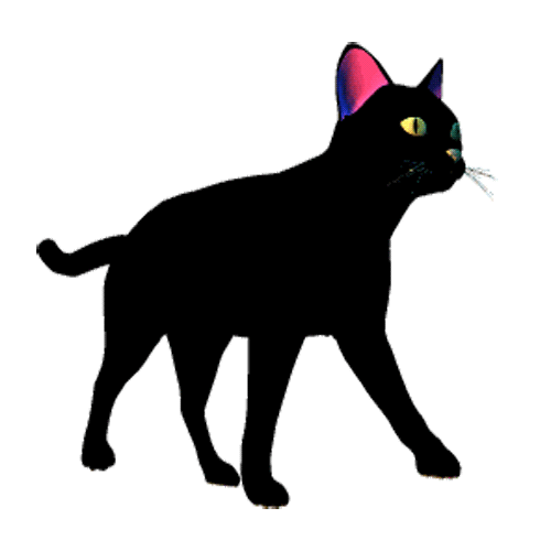 Foiz.Ru_Кошка.gif