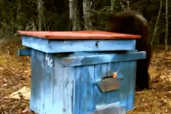 мишка слад.gif