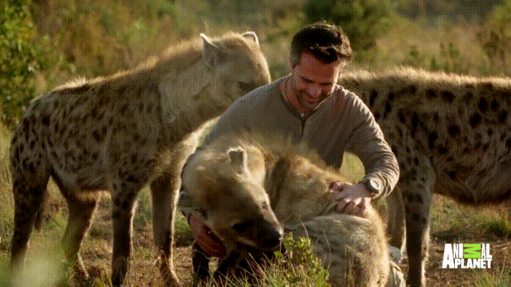 7Zg6.gif
