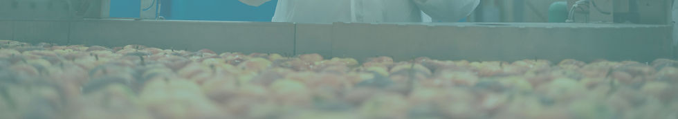 CTA BANNER-13.jpg