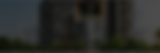 Asset 5.png