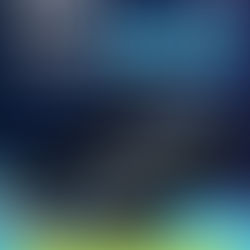 Connecticut digital marketing agency delivering SEO, local SEO, and PPC services for businesses across CT, including roofing contractors, cannabis brands, auto repair shops, and local service companies, showcasing search engine optimization, website optimization, pay per click advertising, and industry-focused digital marketing strategies designed to boost online visibility, strengthen local rankings, attract qualified traffic, and generate consistent leads throughout Connecticut.