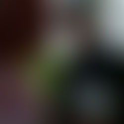 Being the Friend of a Cheater