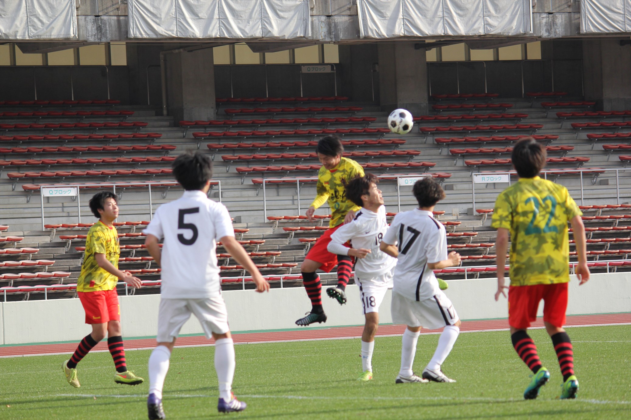 IMG_2295_R.JPG