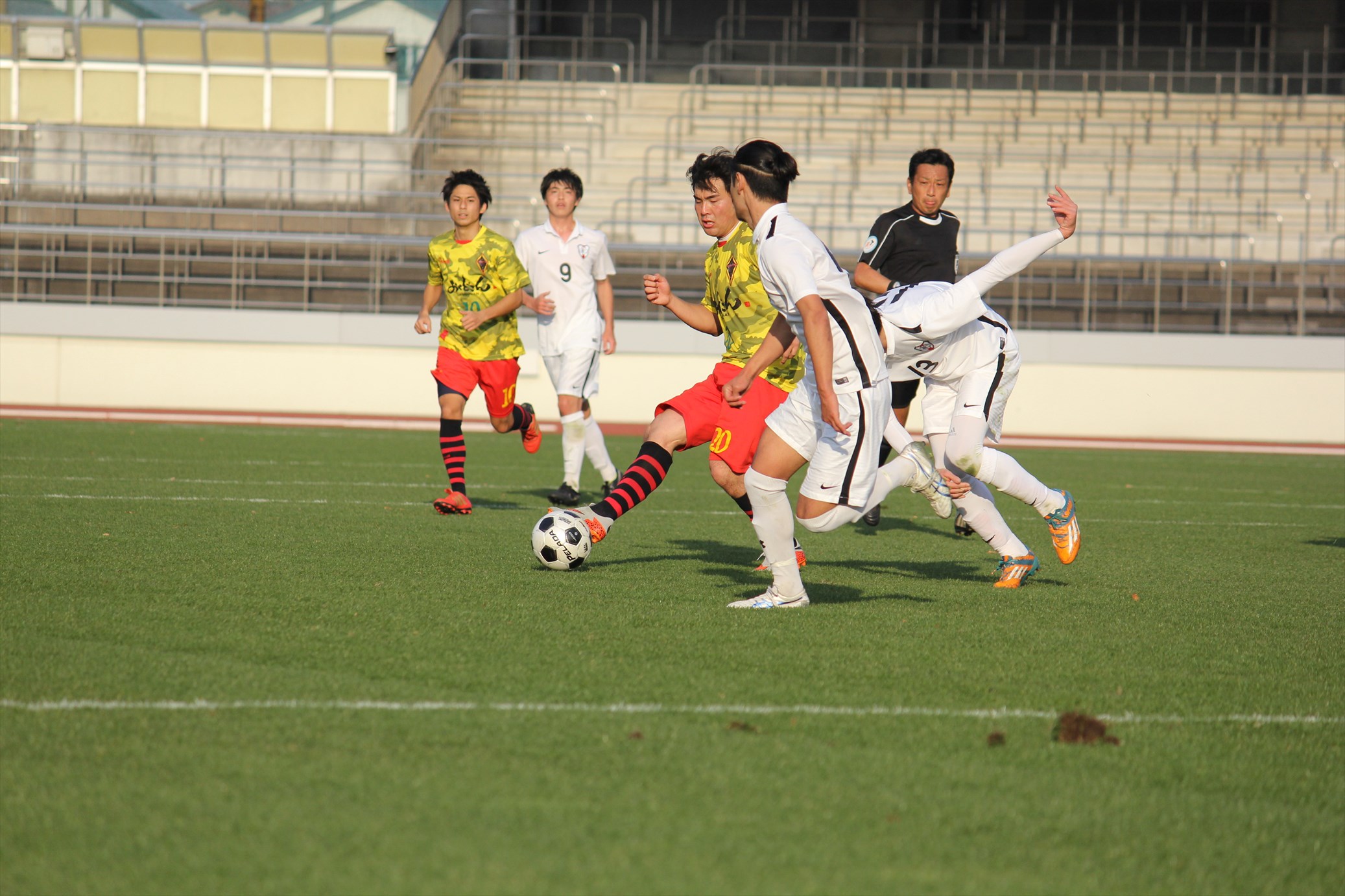 IMG_2451_R.JPG
