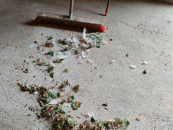 Super Véroïne contre les touristes qui viennent loger illégalement à la Guètière ? 😅