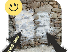 Un choix facile pour la couleur de l'enduit des façades Super Véroïne ?