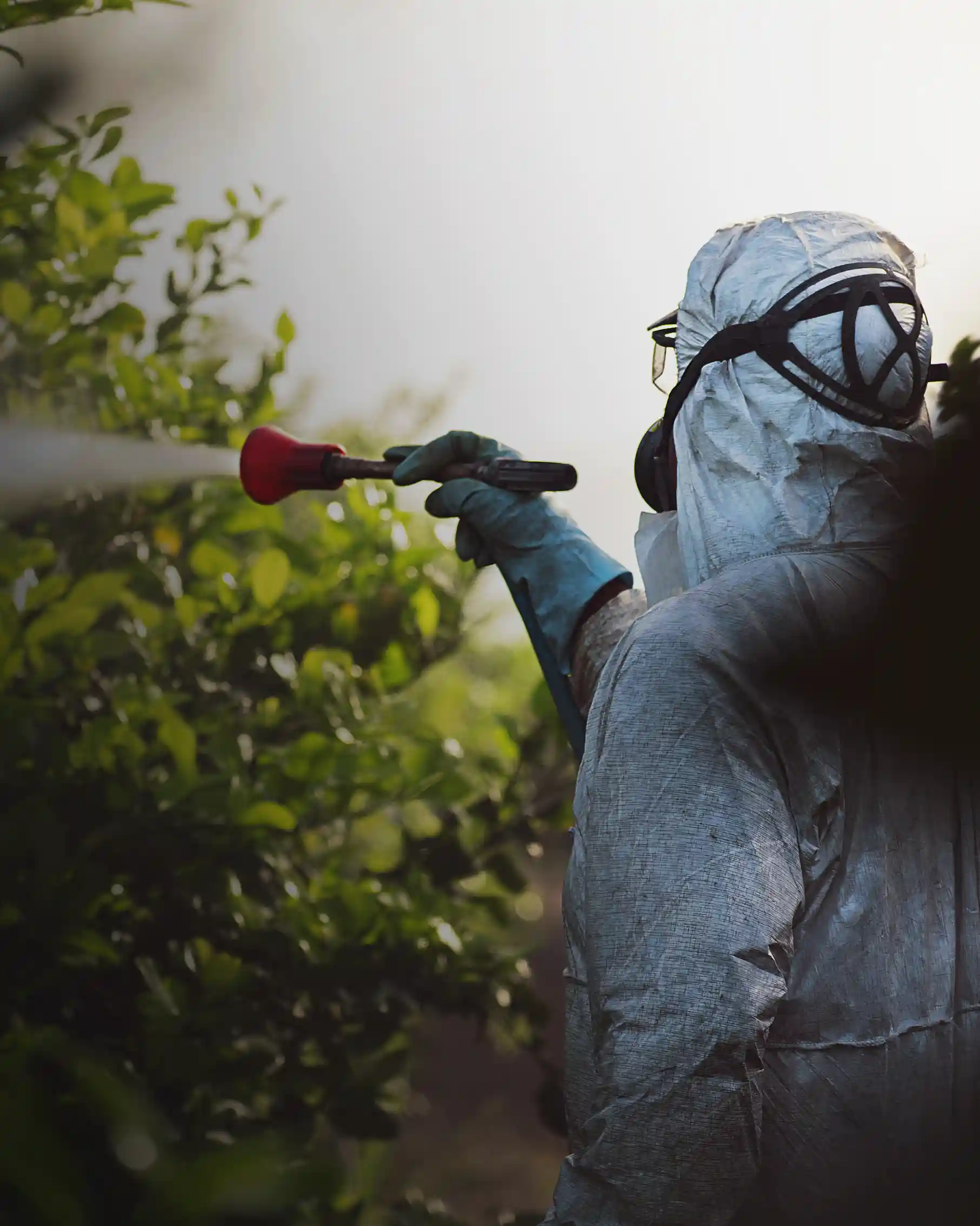 Pesticides