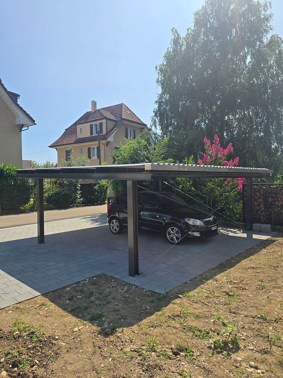 Carport mit Blechdach