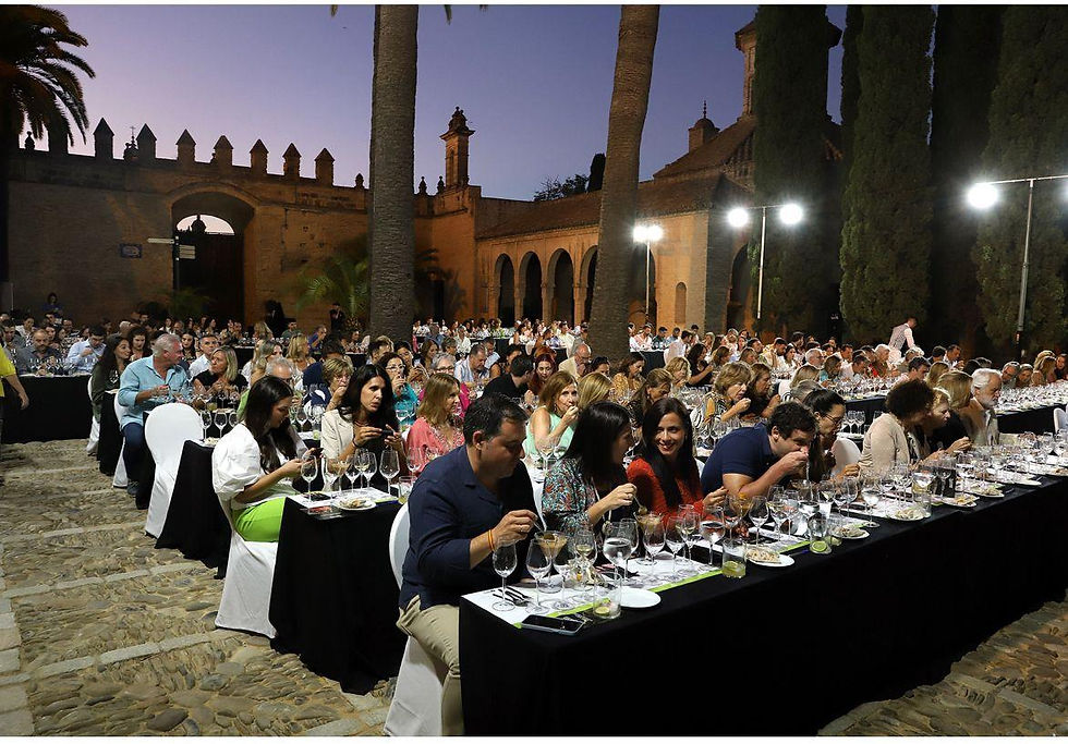 cata en el alcazar de jerez