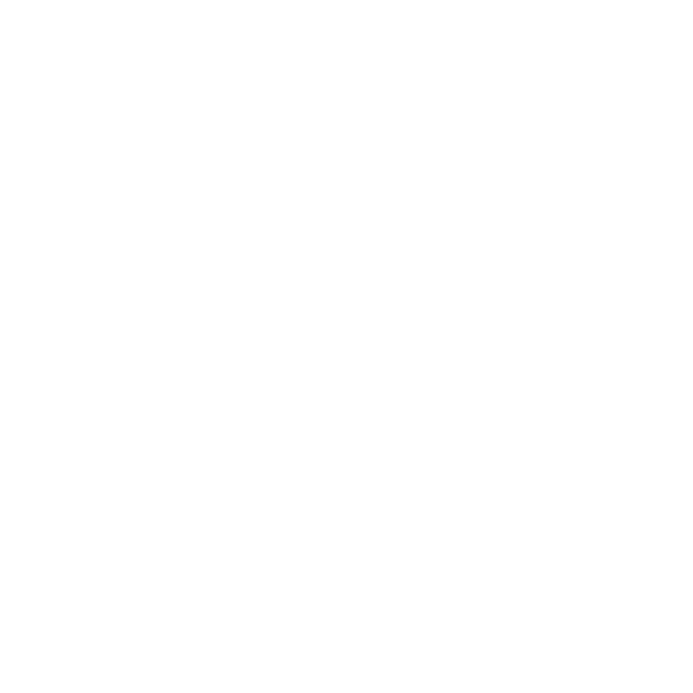 Icon-11 (2).png
