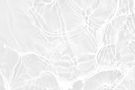 white-background-with-white-texture-that-says-free.jpg