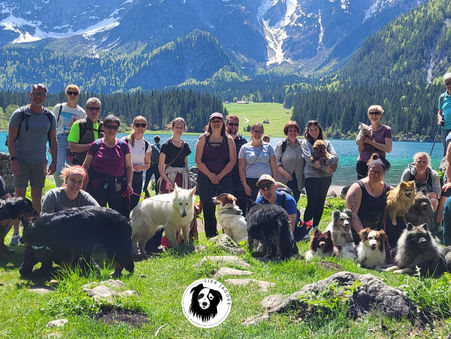 Laghi di Fusine - social walk