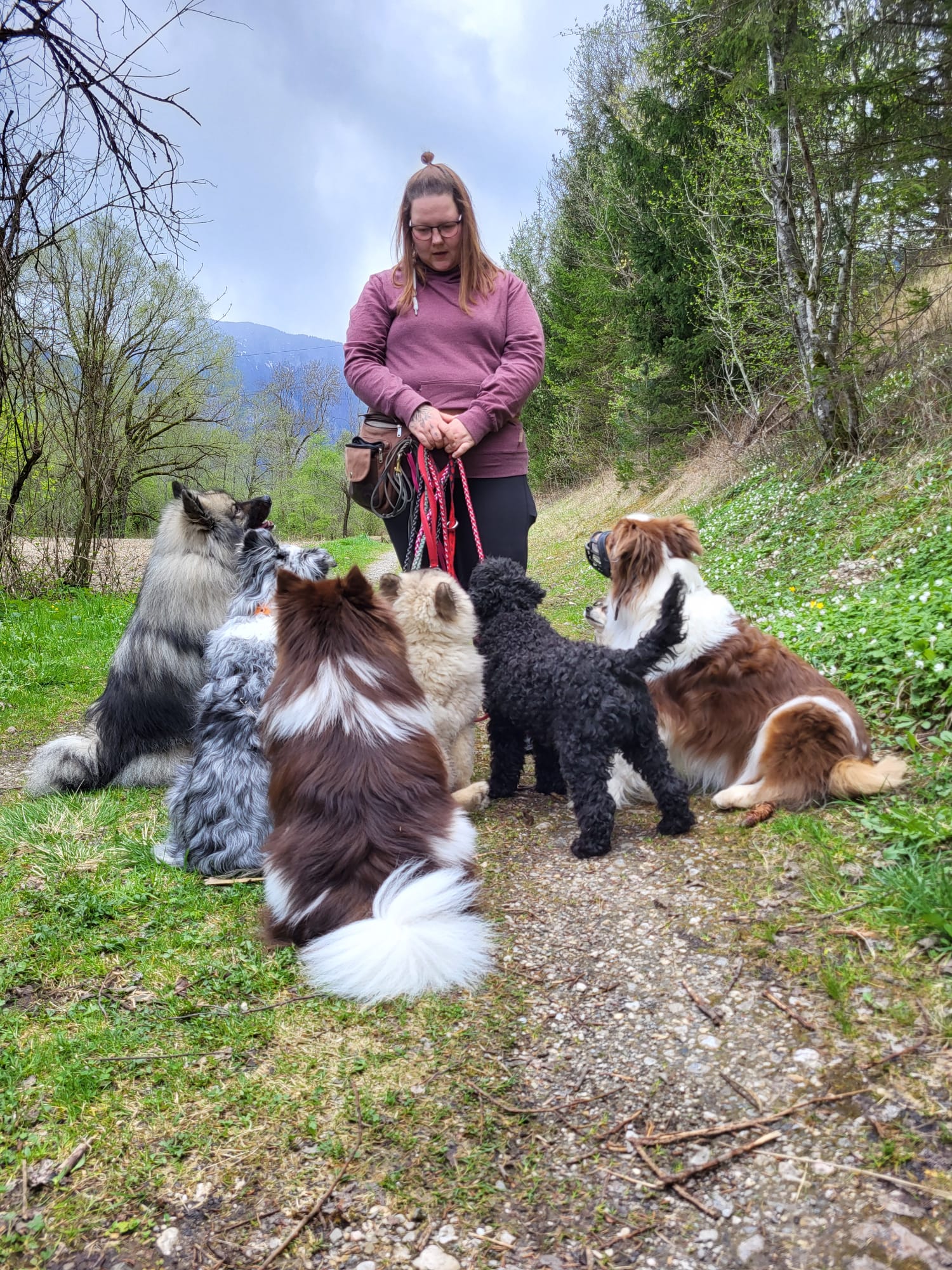 Lisa Jagouz, mobile Hundetrainerin