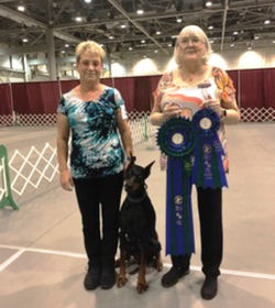 Albree dog training outlet