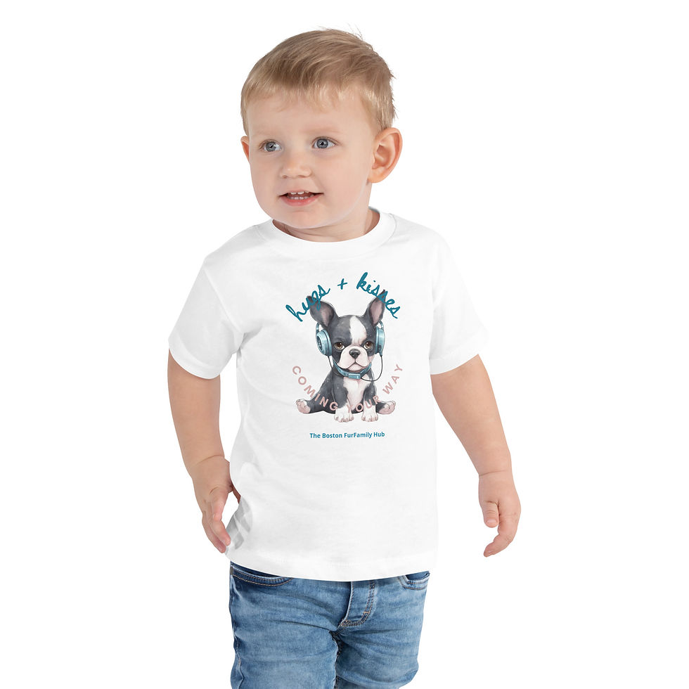 Thumbnail: Toddler T-shirt | 3 Colors | Sizes: 2T - 5T | Boston Hugs + Kisses Your Way