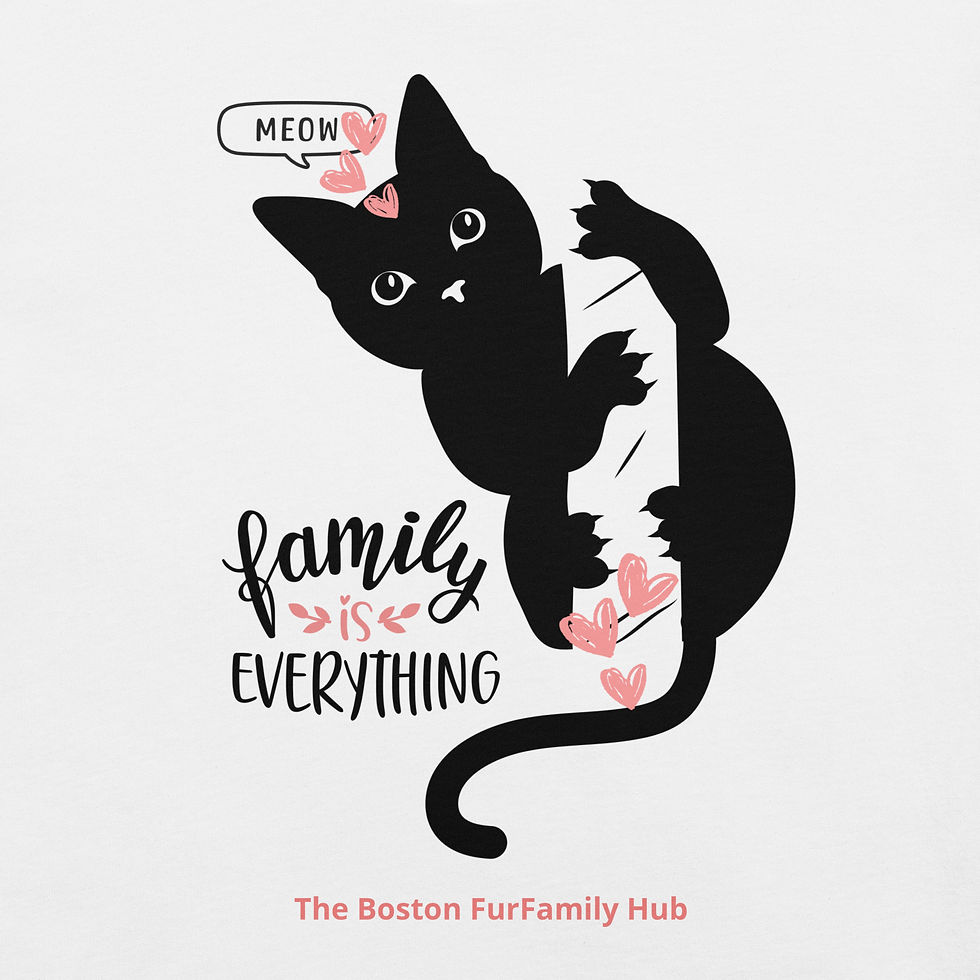 Thumbnail: T-Shirt | 5 Colors | Unisex | Sizes: XS - 5XL | Black Cat Everything is Family